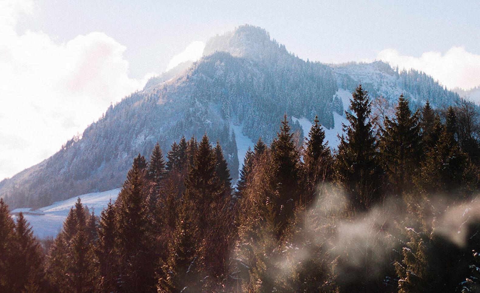 Mountain and forest landscape in Austria