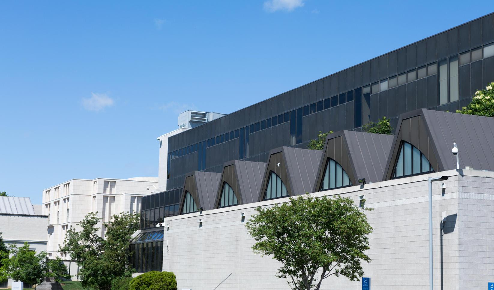 MCAD campus in the summer
